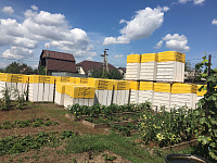 Газобетон КОТТЕДЖ D600 В3.5 625х400х250